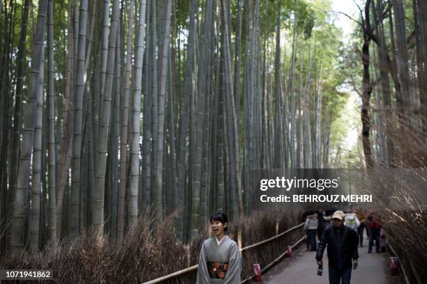 In this picture taken on December 8, 2018 a tourist wearing kimono poses for a picture in Sagano Bamboo Forest in Arashiyama, Kyoto prefecture.