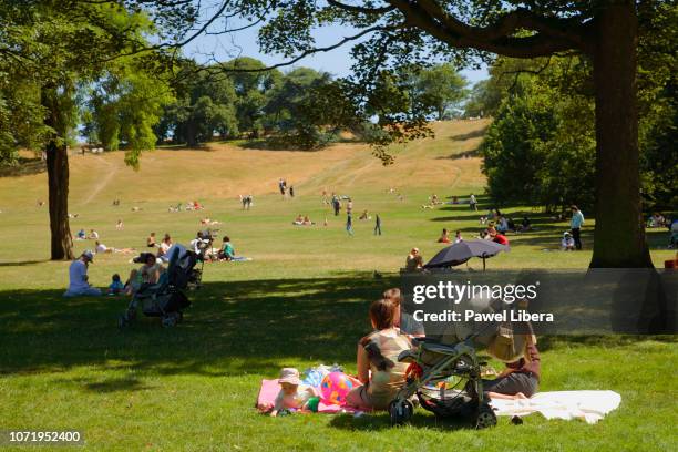 People enjoying summer's day in Greenwich Park in London.