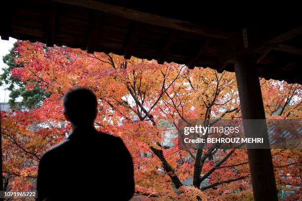 In this picture taken on December 9, 2018 a man looks at the momiji mapple leaves at Tofokuji Temple in Kyoto.