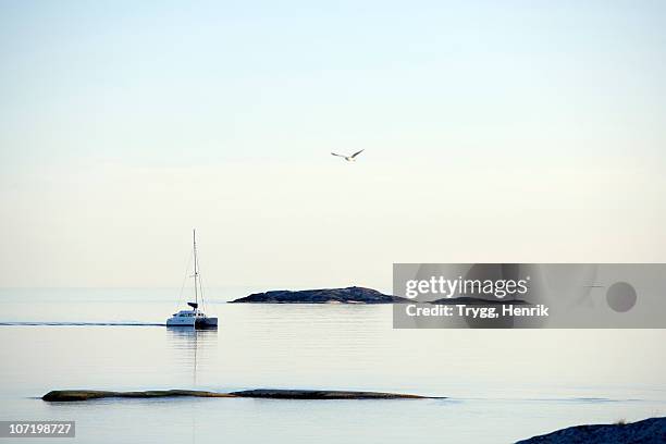 boat sailing in ocean - one animal stock pictures, royalty-free photos & images