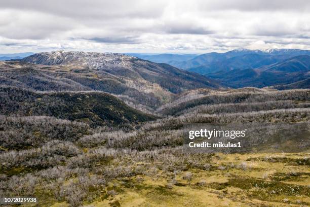 victorian high country - snow victoria australia stock pictures, royalty-free photos & images