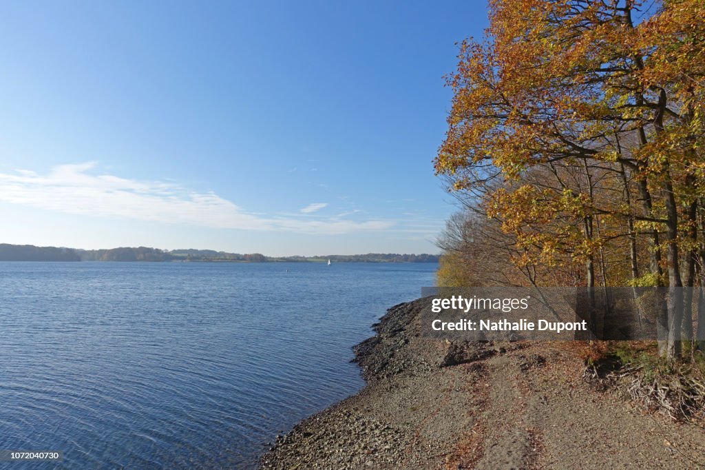 The shores of Eau d'Heure lake with autumn colors