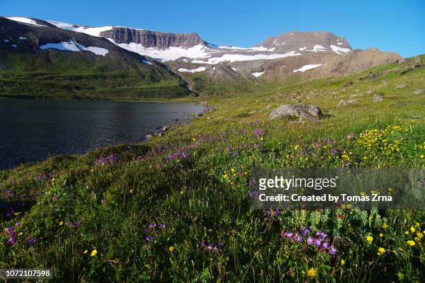 sunny summer evening in the remote hrafnfjörður bay - nature reserve stock pictures, royalty-free photos & images
