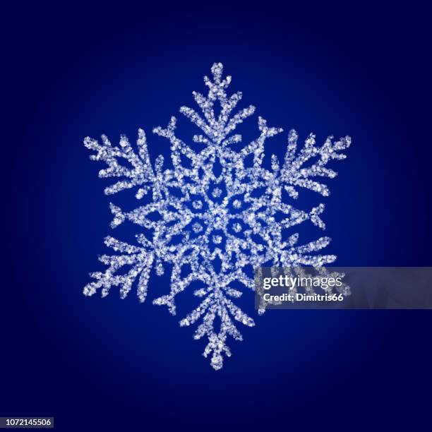 Multiverse Snowflake Snowflake Jewelry Photos and Premium High Res Pictures - Getty Images