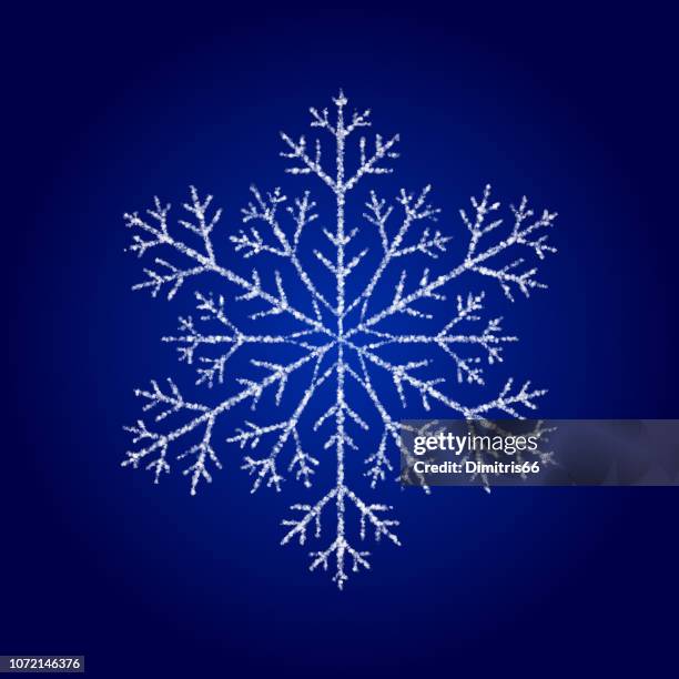 Snowfleck 549 Snowflake Jewelry Stock Photos, High-Res Pictures, and Images ...