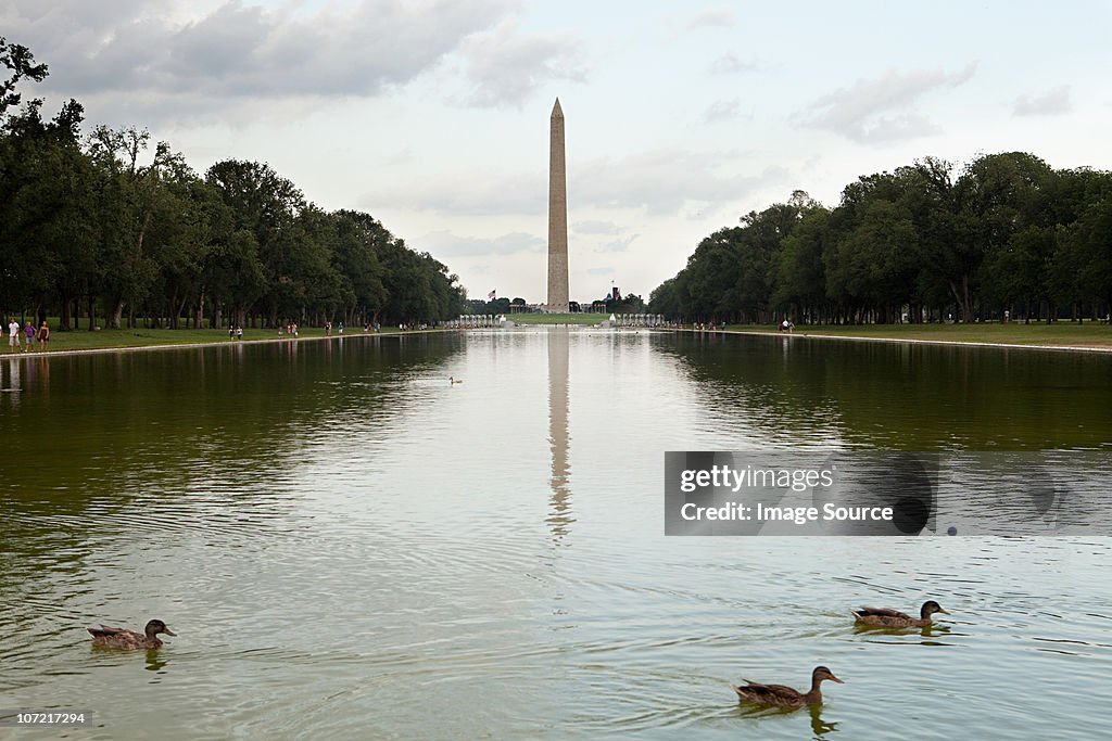 Washington monument and reflecting pool, Washington DC, USA