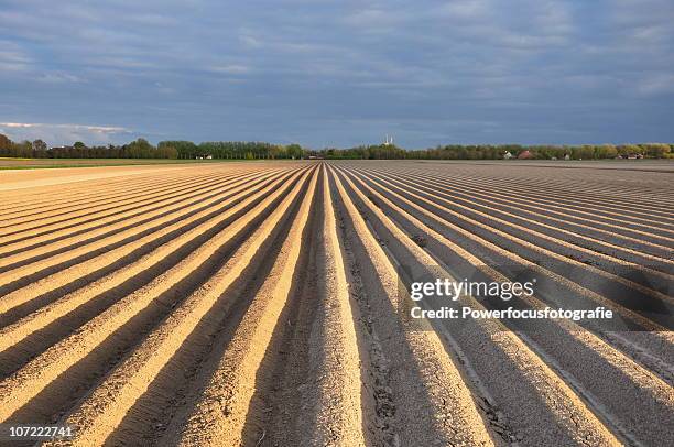 agriculture - powerfocusfotografie stock pictures, royalty-free photos & images