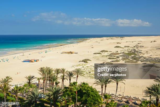 fuerteventura, corralejo sand beach - corralejo stock pictures, royalty-free photos & images