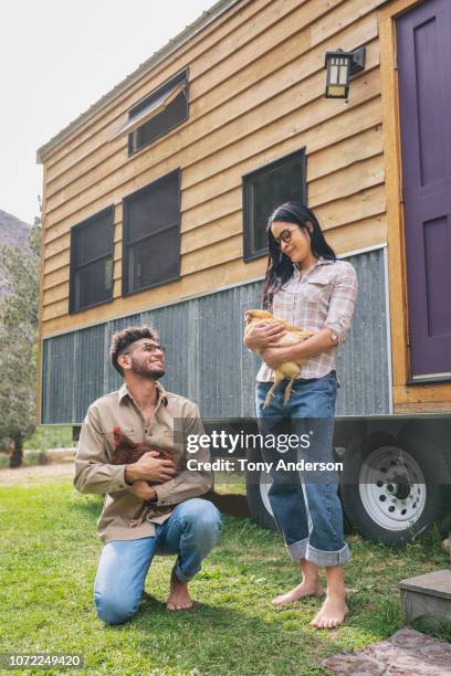 young couple holding chickens outside tiny house - nosotroscollection bildbanksfoton och bilder