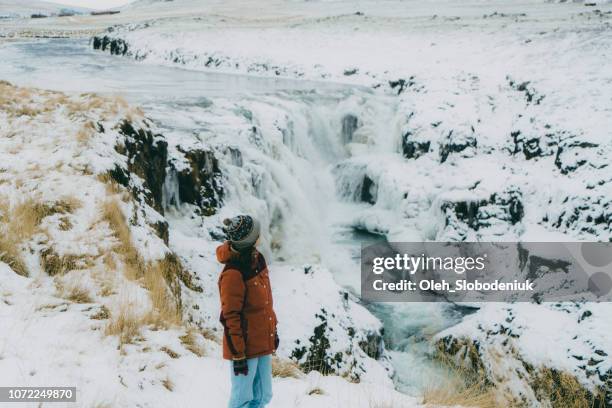 donna che guarda la cascata in inverno - dettifoss waterfall foto e immagini stock