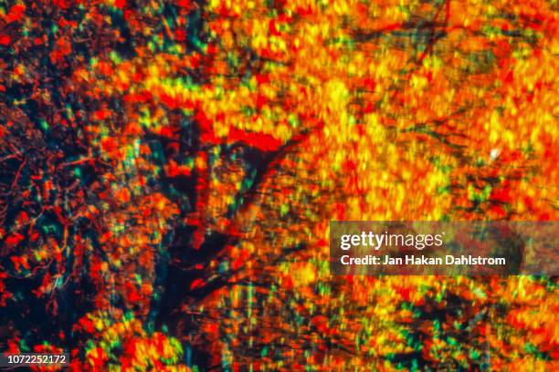 psycodelic tree - lsd stock pictures, royalty-free photos & images