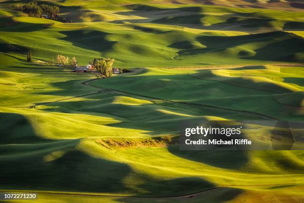 sunset casting light and shadows on the rolling hills of the palouse, washington state - palouse imagens e fotografias de stock