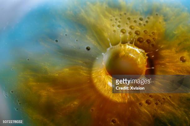 water drop on shiny golden powder with blue green color - aquatic organism stock pictures, royalty-free photos & images