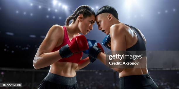 female mma fighters in professional boxing ring - prender a cabeça imagens e fotografias de stock