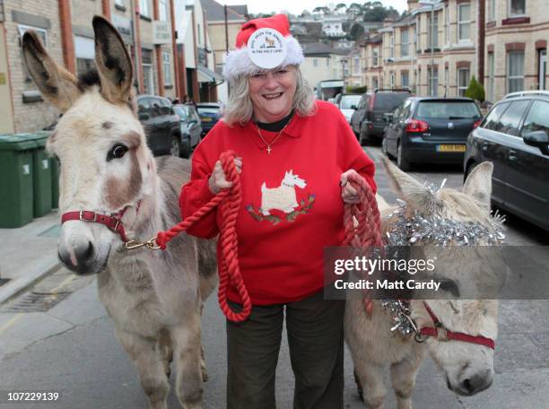 Former Home Office Minister Ann Widdecombe leads donkeys Teasel and Dove for a photocall at the launch of the Christmas campaign to save donkeys in...