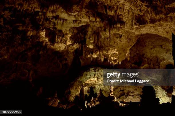 carlsbad caverns national park - carlsbad caverns national park stock-fotos und bilder