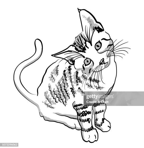 neugierig kitty - realismus stock-grafiken, -clipart, -cartoons und -symbole