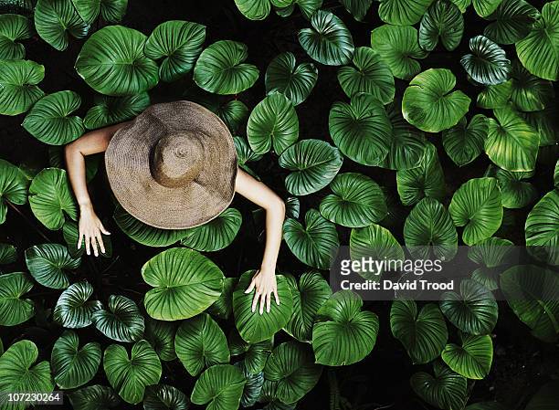 thai woman with tropical leaves - verwonderingsdrang stockfoto's en -beelden
