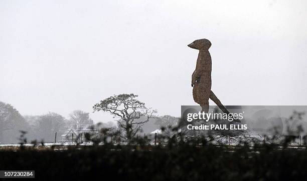 Snow covers the fields surrounding a 36ft high straw meerkat, on display at an ice cream farm near Nantwich, north-west England on December 1, 2010....
