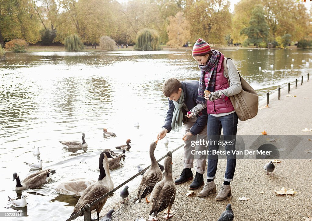 Couple feeding ducks and geese in park.