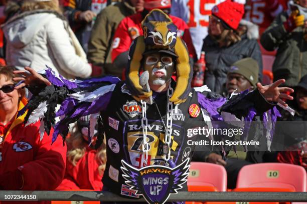 Little Raves Fan 4,020 Ravens Fans Stock Photos, High-Res Pictures, and Images - Getty ...