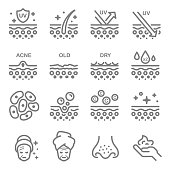 Skin Layer Vector Line Icons. Contains such Icons as Acne, Dry, Moisturizer, Pimple, Cells and more. Expanded Stroke.