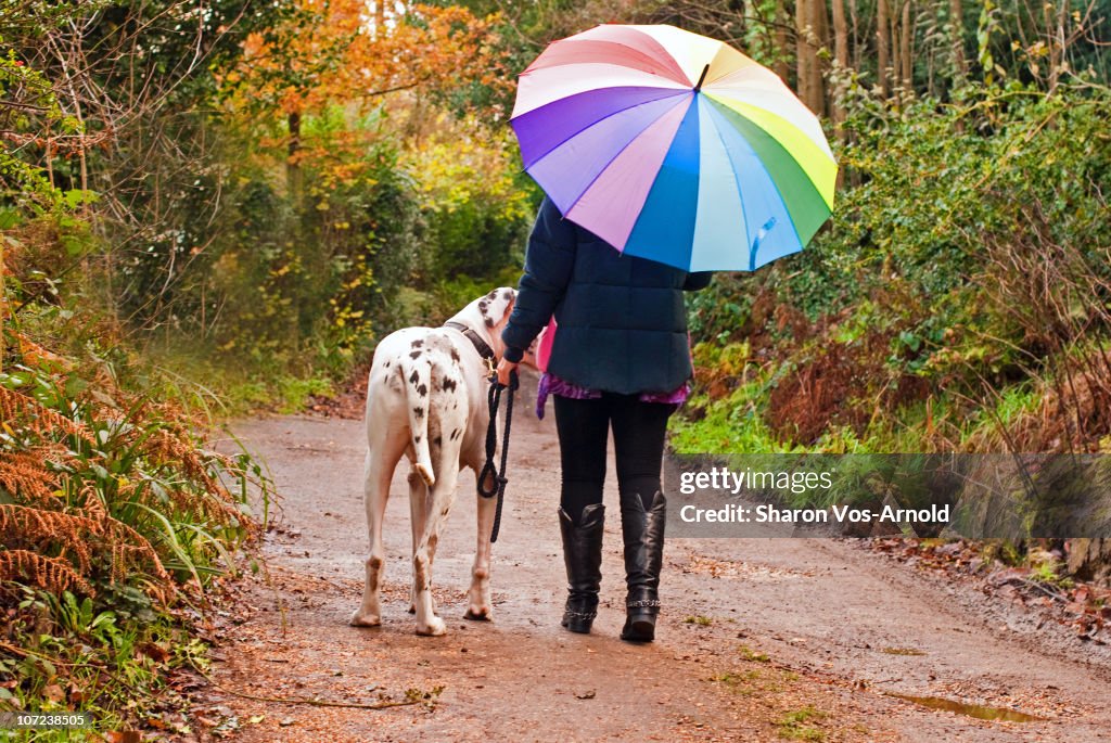 Great Dane Umbrella Great Dane Umbrella