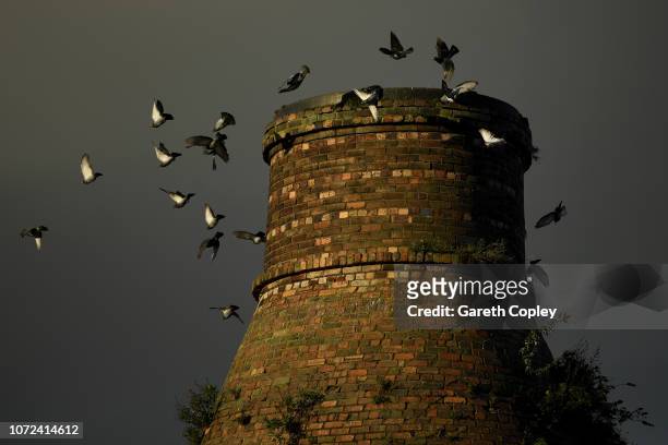 Pigeons fly around the remaining kiln of Price & Kensington Teapots, Burslem on November 16, 2017 in Stoke on Trent, England. At the height of the...