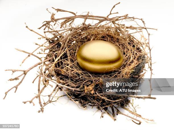 gold egg in nest - golden egg stock pictures, royalty-free photos & images