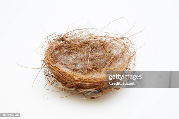 empty nest - and nest stock pictures, royalty-free photos & images