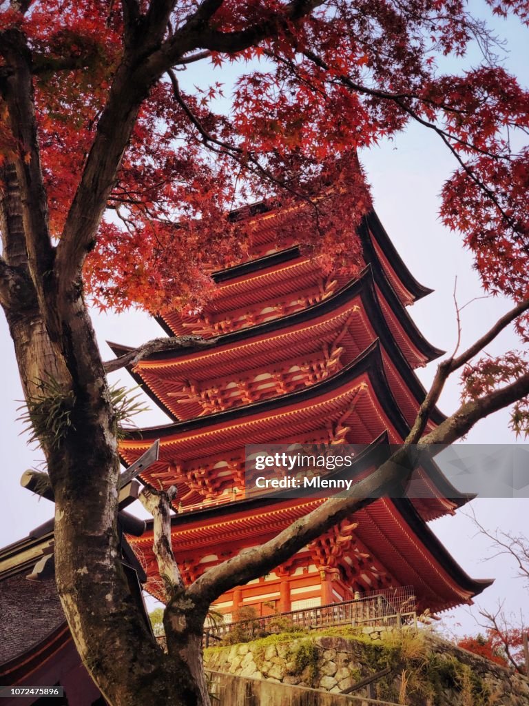 Miyajima Pagoda Red Autumn Japan