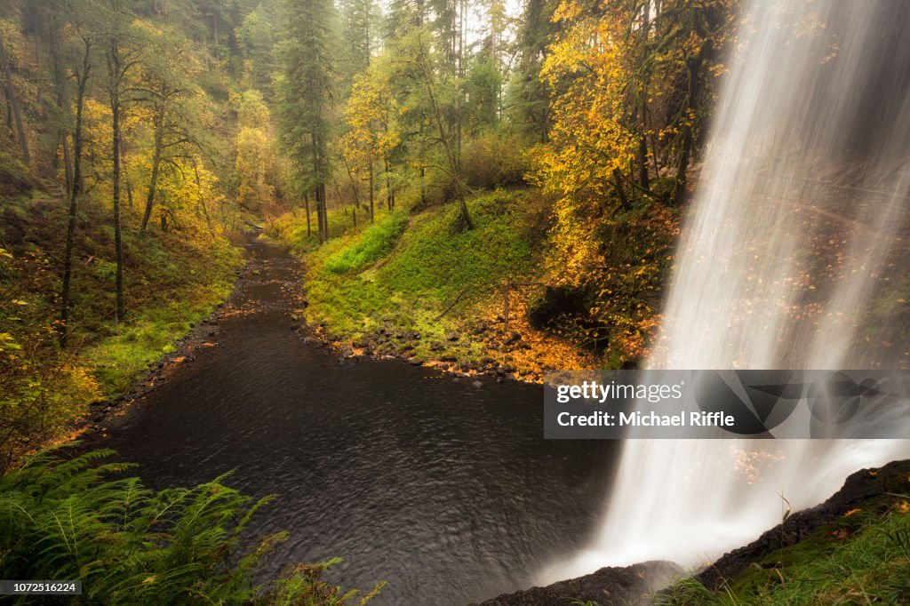 View From Behind a Waterfall of Fall Color and a Creek, Silver Falls State Park, Oregon, USA