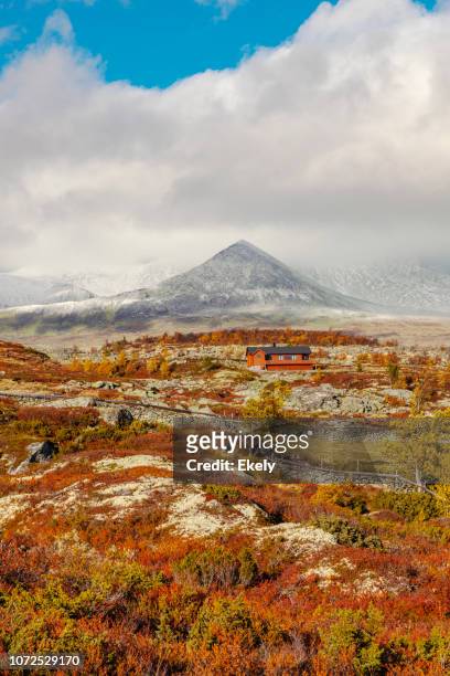 cottages in rondane national park  with view to smiubelgen in autumn - autumn norway stock pictures, royalty-free photos & images