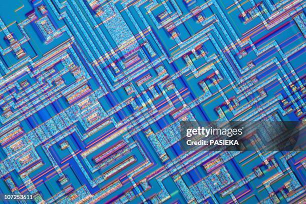 ilustraciones, imágenes clip art, dibujos animados e iconos de stock de microchip, light micrograph - primer plano