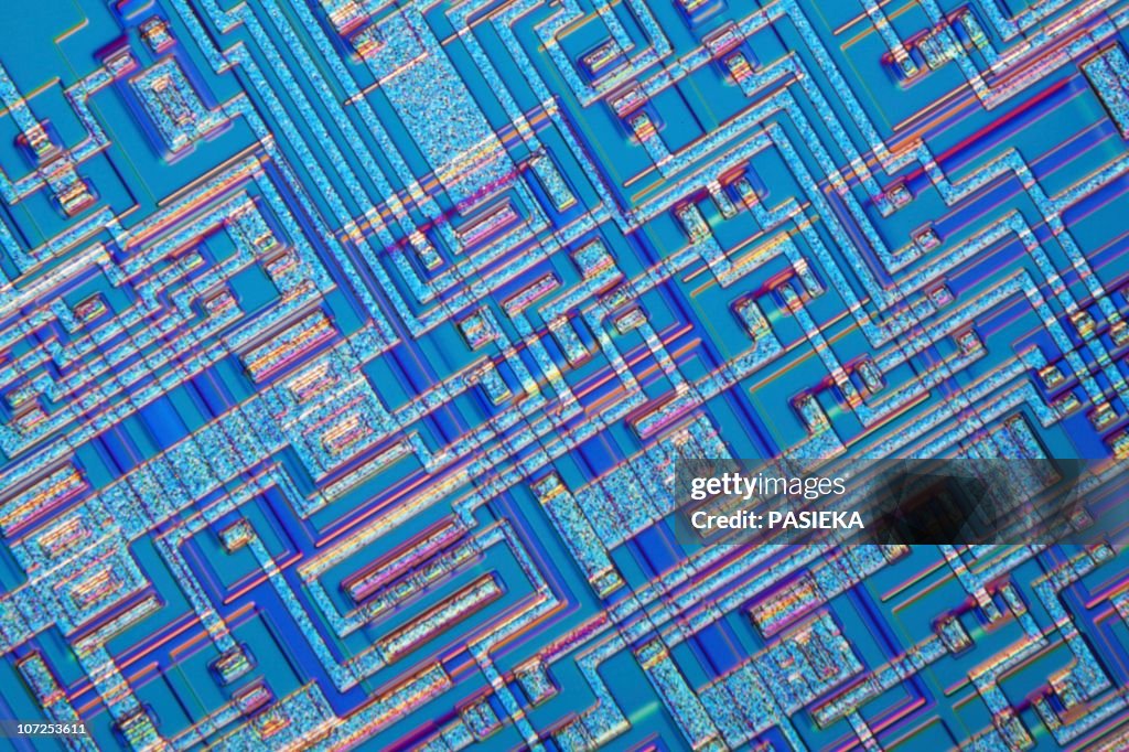 Microchip, light micrograph