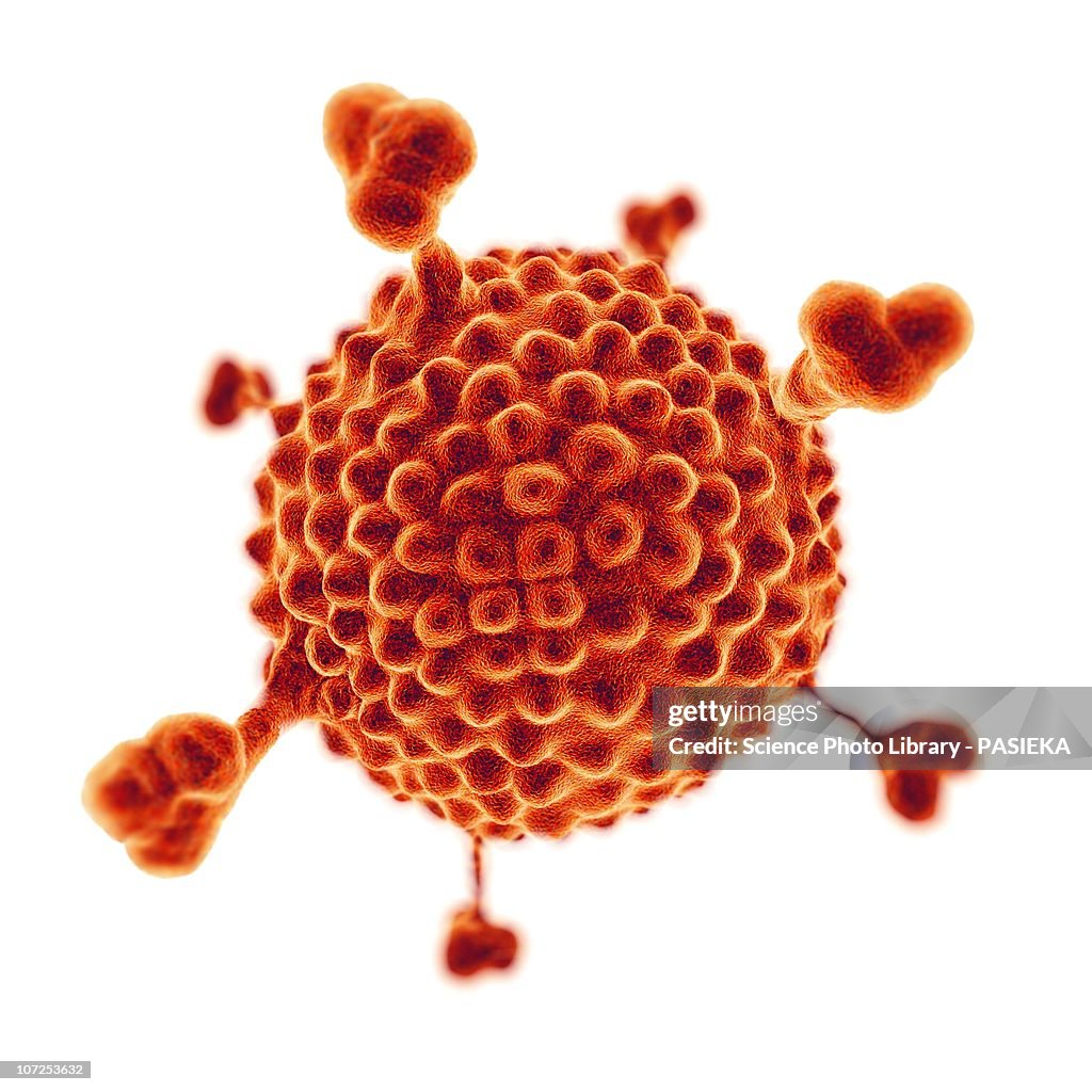 Adenovirus