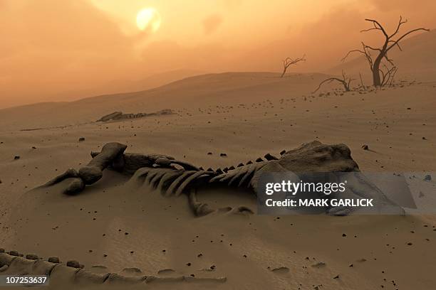 dinosaur skeletons in the desert - arid climate stock illustrations