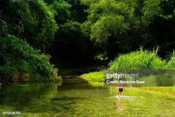 a kid 8 years old walking in the river, charlotteville, tobago, trinidad and tobago, west indies, south america - trinidad and tobago 個照片及圖片檔
