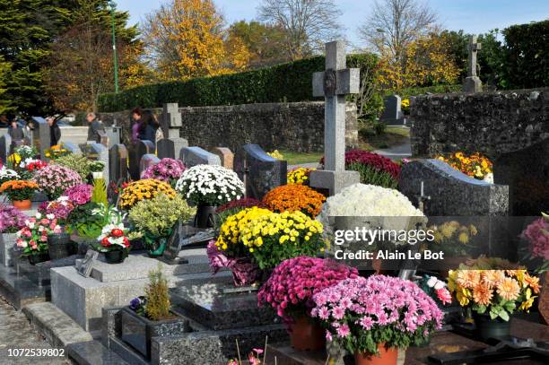france, region of brittany, cemetery of the village at all saints' day, tombstones with flowers. - funeral flowers stockfoto's en -beelden
