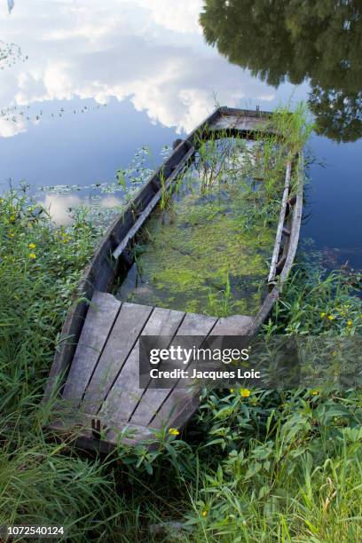 france, tours, the loire, old boat full of water. - indre et loire stock-fotos und bilder