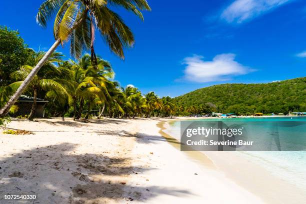 salt whistle bay's beach, one of the most beautifull of all lesser antilles, mayreau, saint-vincent and the grenadines, west indies - tobago cays stock pictures, royalty-free photos & images