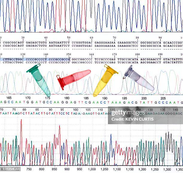 Dna Collection Graph 629 4 Part Graph Stock Photos, High-Res Pictures, and Images - Getty Images