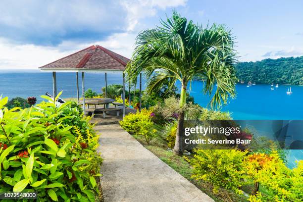 view on charlotteville's bay from the fort cambleton, charlotteville, tobago, trinidad and tobago, west indies, south america - trinidad and tobago 個照片及圖片檔