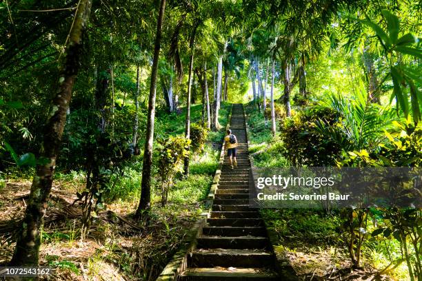 a man climbing the stairs to pirate's bay beach, charlotteville, tobago, trinidad and tobago, west indies, south america - trinité et tobago photos et images de collection