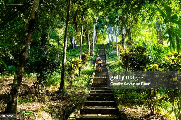 a man climbing the stairs to pirate's bay beach, charlotteville, tobago, trinidad and tobago, west indies, south america - トリニダードトバゴ共和国 ストックフォトと画像