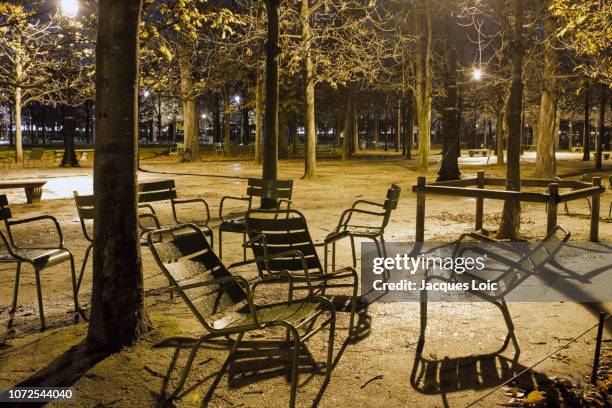 france, paris, garden of tuileries on a winter evening. - tuileries quarter stock pictures, royalty-free photos & images