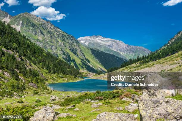 france, pyrenees national park, occitanie region, val d'azun, suyen lake (1,535m) on the gave d'arrens (name referring to torrential rivers, in the west side of the pyrenees) - midi pyrenees stock pictures, royalty-free photos & images