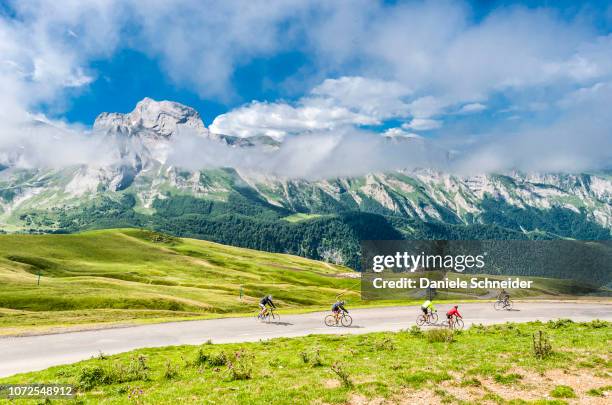 france, pyrenees national park, val d'azun, amateur cyclists on the road of the col de l'aubisque (mountain pass) - bearn stock-fotos und bilder