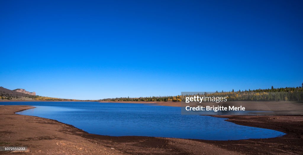 United States,UTAH, Ashley National Forest, Aspen at fall, Long Park Reservoir