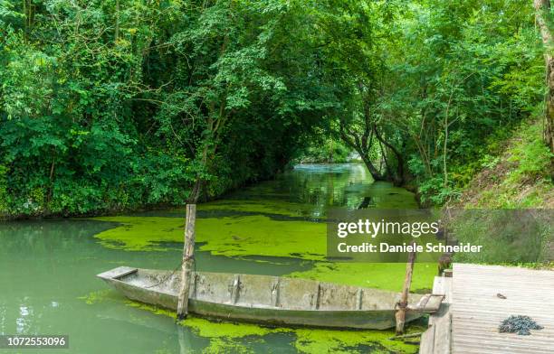 france, deux sevres, punt over the canals of the marais poitevin - wasserlinse stock-fotos und bilder